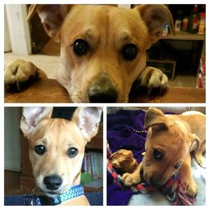 Meet your Posher, Diego